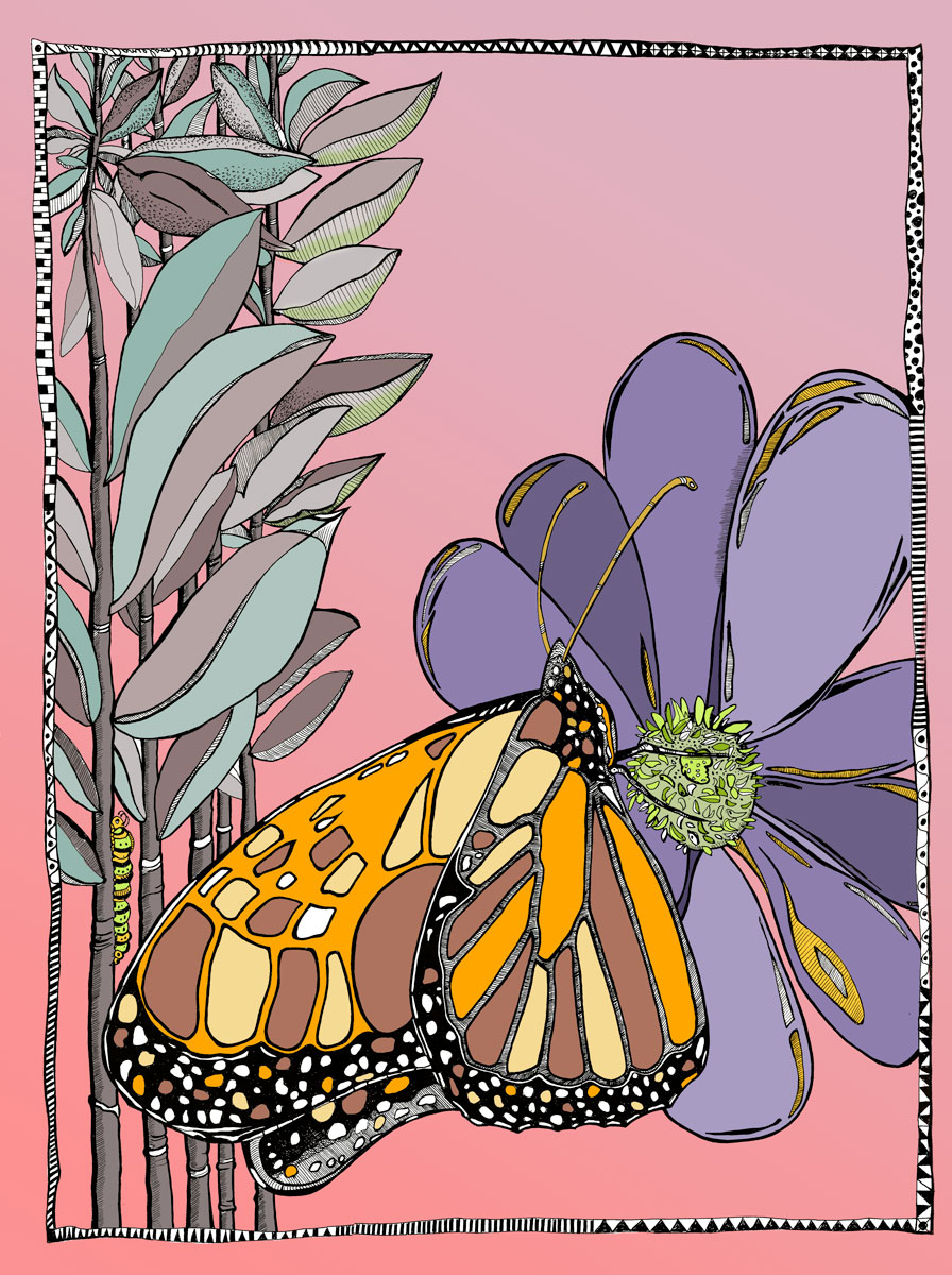 The Butterfly Kingdom One of the World’s Most Amazing Places.