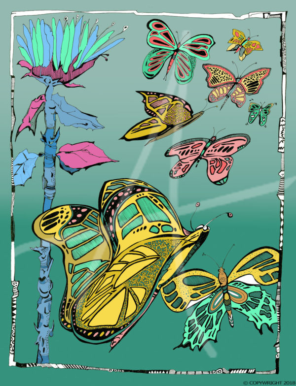 "The Butterfly Kingdom" - Limited Edition Book